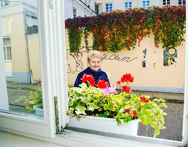 #DaliaGrybauskaitė #oldtown #windows