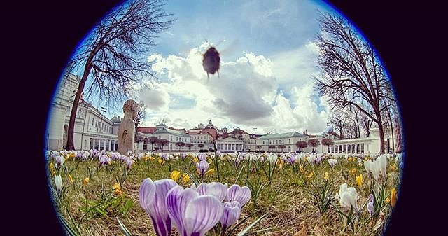 Štai ir #pavasaris rūmuose. #VilniusOldTown  #spring2019
